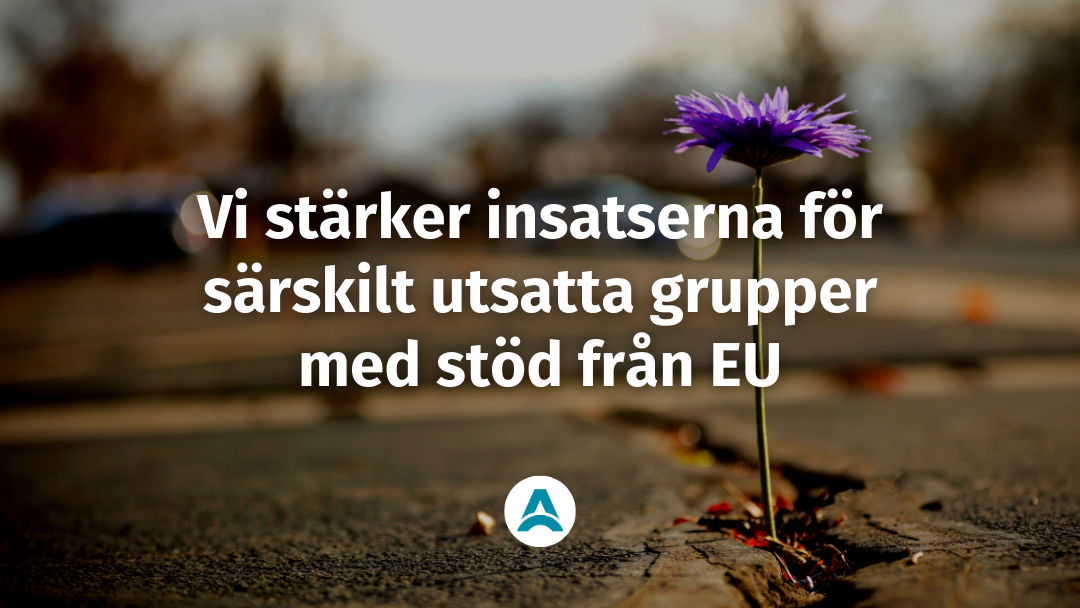 Asylrättscentrum stärker insatserna för särskilt utsatta grupper med stöd från EU